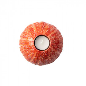 Candle Holder Sea Urchin Small