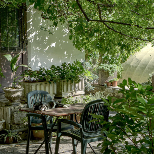 Goods for Garden