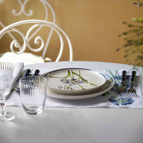 Dinner Plate Agapanthus