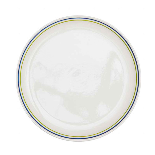 Dinner Plate Agapanthus